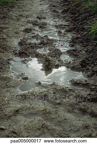 mud, nature, autumn, winter, Nature, Isabelle, Rozenbaum View Large Photo Image Stock Photo - mud, nature, autumn, winter, Nature, Isabelle, Rozenbaum. Fotosearch