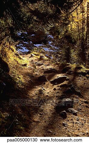 path, paths, nature, vegetation, Nature, Isabelle, Rozenbaum View Large Photo Image Stock Image - path, paths, nature, vegetation, Nature, Isabelle, Rozenbaum. Fotosearch