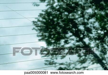 reflection, reflections, nature, vegetation, Nature, Isabelle, Rozenbaum View Large Photo Image Stock Image - reflection, reflections, nature, vegetation, Nature, Isabelle, Rozenbaum. Fotosearch