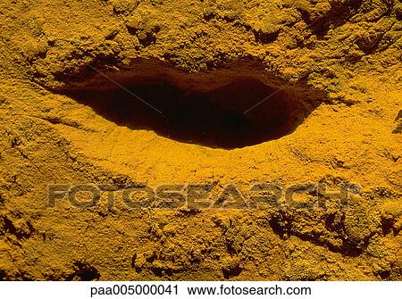 rock, rocks, texture, textures, nature, Nature, Isabelle View Large Photo Image Stock Image - rock, rocks, texture, textures, nature, Nature, Isabelle. Fotosearch