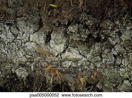 Stock Image - rock, rocks, texture, textures, background, backgrounds, nature. Fotosearch