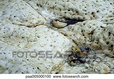 rock, rocks, texture, textures, background, backgrounds, nature View Large Photo Image Stock Image - rock, rocks, texture, textures, background, backgrounds, nature. Fotosearch