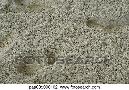 sand, track, tracks, background, backgrounds, nature, Nature View Large Photo Image Stock Image - sand, track, tracks, background, backgrounds, nature, Nature. Fotosearch
