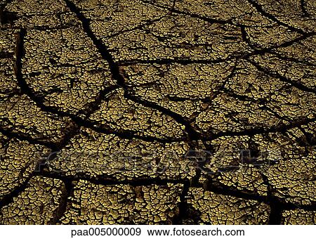 Stock Photo - soil, texture, textures, background, backgrounds, nature, vegetation. Fotosearch