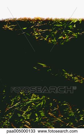 texture, textures, background, backgrounds, nature, vegetation, Nature View Large Photo Image Stock Image - texture, textures, background, backgrounds, nature, vegetation, Nature. Fotosearch
