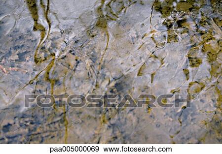 water, nature, Nature, Isabelle, Rozenbaum, Frederic, Cirou View Large Photo Image Stock Photo - water, nature, Nature, Isabelle, Rozenbaum, Frederic, Cirou. Fotosearch