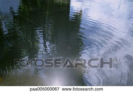 water, reflection, reflections, nature, Nature, Isabelle, Rozenbaum View Large Photo Image Stock Photo - water, reflection, reflections, nature, Nature, Isabelle, Rozenbaum. Fotosearch