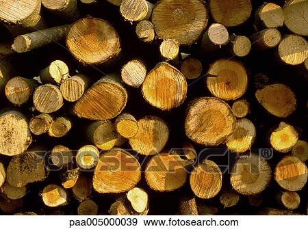 wood, background, backgrounds, nature, vegetation, detail, details View Large Photo Image Stock Photo - wood, background, backgrounds, nature, vegetation, detail, details. Fotosearch