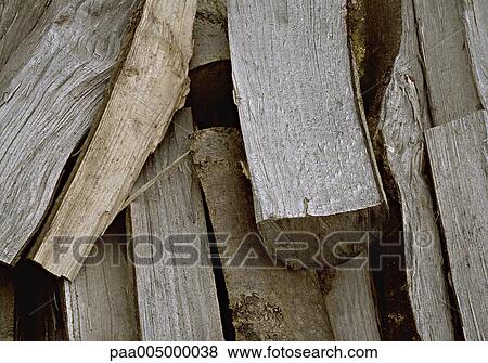 wood, nature, vegetation, detail, details, Nature, Isabelle View Large Photo Image Stock Photo - wood, nature, vegetation, detail, details, Nature, Isabelle. Fotosearch