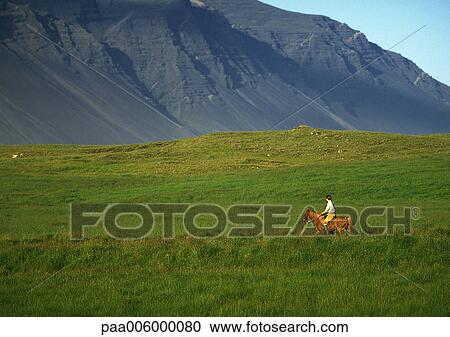 Iceland, horseback rider in front of mountain. View Large Photo Image Stock Image - Iceland, horseback rider in front of mountain.. Fotosearch