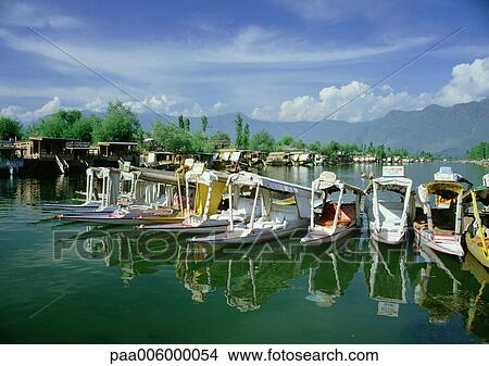 India, shikaras on water View Large Photo Image Picture - India, shikaras on water. Fotosearch