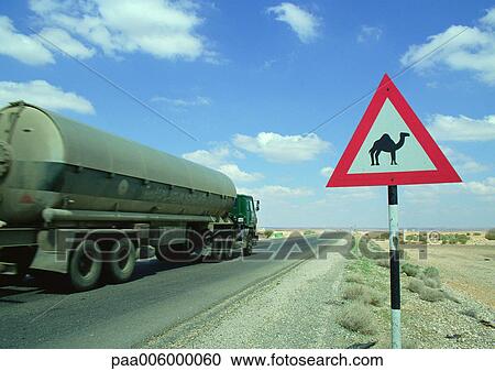 Jordan, tanker on road next to camel crossing sign View Large Photo Image Stock Image - Jordan, tanker on road next to camel crossing sign. Fotosearch