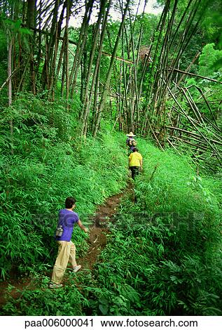 Stock Image - People hiking through woods on dirt trail. Fotosearch