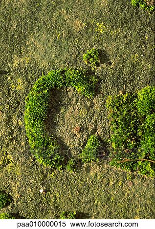 C, text, in moss View Large Photo Image Stock Photography - C, text, in moss. Fotosearch