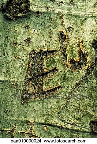 E, text, painted. View Large Photo Image Picture - E, text, painted.. Fotosearch