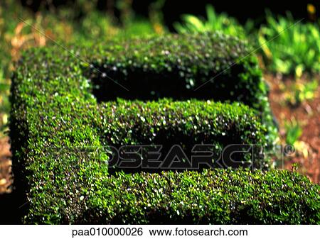 E, text, topiary View Large Photo Image Stock Photograph - E, text, topiary. Fotosearch