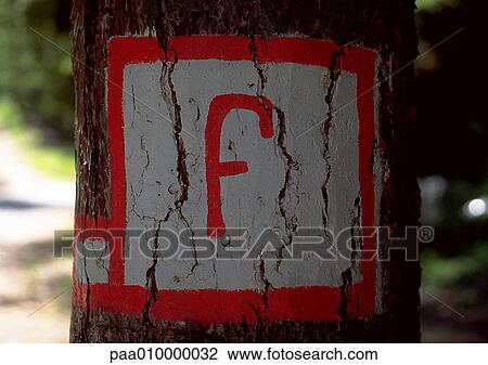 F, text, painted. View Large Photo Image Stock Image - F, text, painted.. Fotosearch