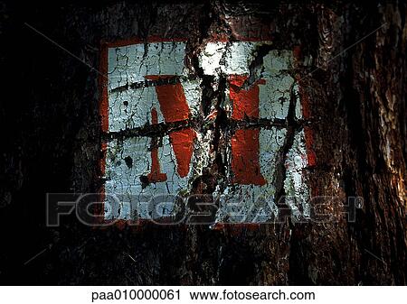 M, text, painted. View Large Photo Image Stock Image - M, text, painted.. Fotosearch