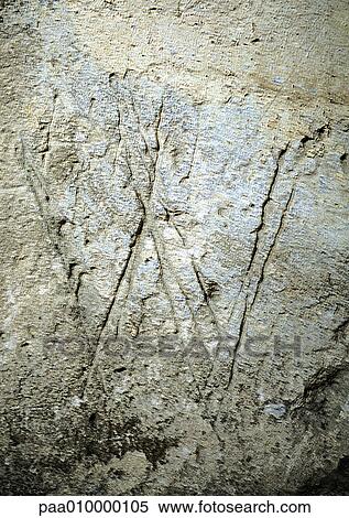W, text, carved. View Large Photo Image Stock Photography - W, text, carved.. Fotosearch