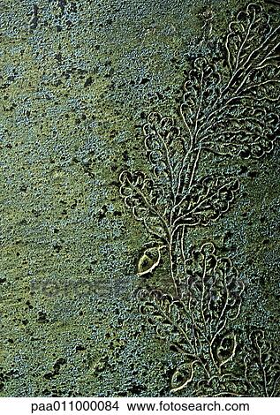 Carved stone with floral motif, close-up View Large Photo Image Picture - Carved stone with floral motif, close-up. Fotosearch