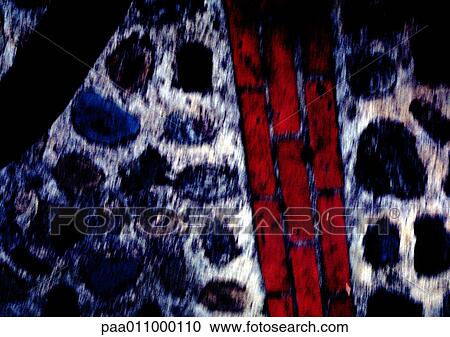 Stock Image - Stone and brick wall, blurred, close-up. Fotosearch