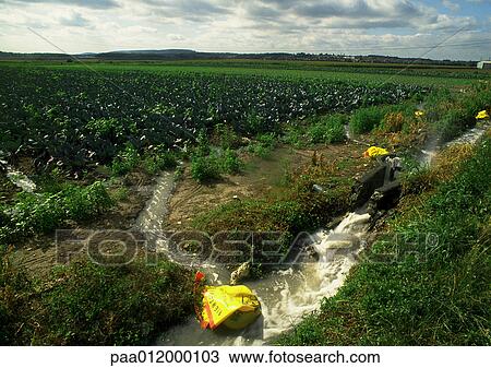 Stock Image - Crop irrigation. Fotosearch