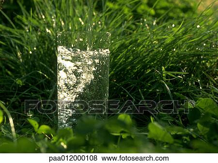 Glass of water in grass View Large Photo Image Stock Photo - Glass of water in grass. Fotosearch