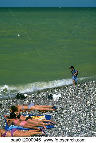 People lying on beach near sea View Large Photo Image Stock Photograph - People lying on beach near sea. Fotosearch