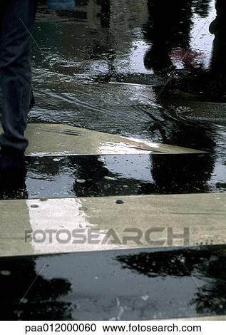 Pool of water on cross walk View Large Photo Image Stock Image - Pool of water on cross walk. Fotosearch