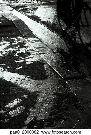 Wet street, b&w View Large Photo Image Stock Image - Wet street, b&w. Fotosearch