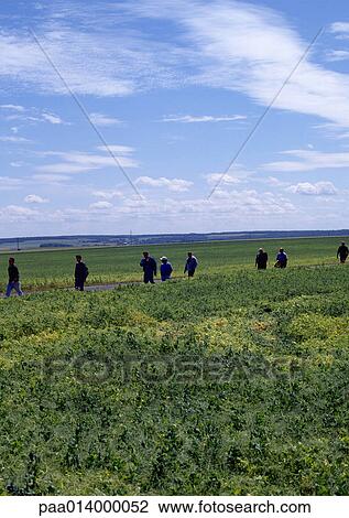 Stock Image - Group of people walking in field.. Fotosearch