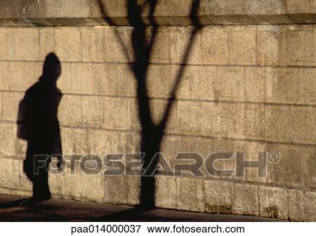 Shadow of person and tree on stone wall View Large Photo Image Stock Photo - Shadow of person and tree on stone wall. Fotosearch