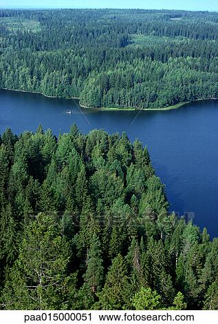 Evergreen forest and body of water, aerial view View Large Photo Image Stock Image - Evergreen forest and body of water, aerial view. Fotosearch
