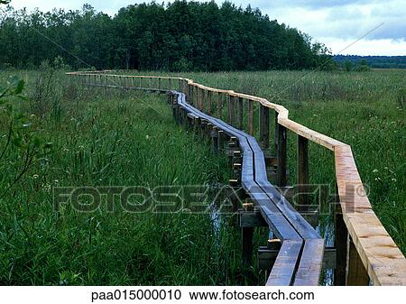 Finland, bridge through marshlands View Large Photo Image Stock Image - Finland, bridge through marshlands. Fotosearch