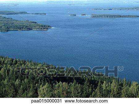 Finland, coastal seascape with evergreen trees View Large Photo Image Stock Image - Finland, coastal seascape with evergreen trees. Fotosearch