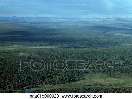 Finland, forests, aerial view View Large Photo Image Stock Image - Finland, forests, aerial view. Fotosearch