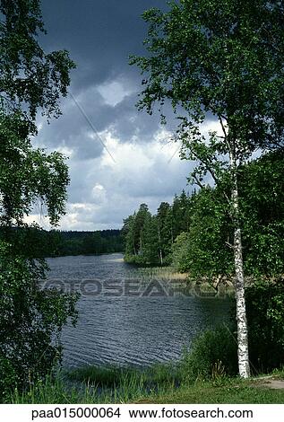 Picture - Finland, landscape with lake. Fotosearch