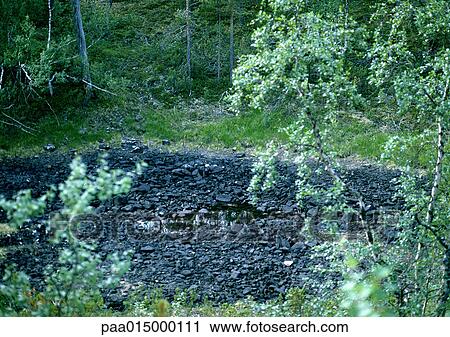 Finland, rocks in clearing in forest View Large Photo Image Stock Image - Finland, rocks in clearing in forest. Fotosearch