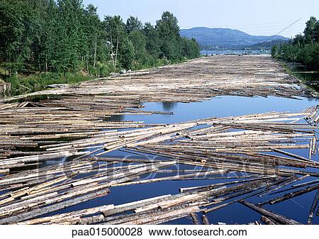 Finland, timber floating in river with trees on edge of river and mountain in background View Large Photo Image Stock Photo - Finland, timber floating in river with trees on edge of river and mountain in background. Fotosearch