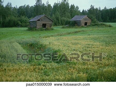 Finland, wood cabins in clearing View Large Photo Image Stock Photo - Finland, wood cabins in clearing. Fotosearch