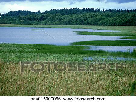 Lake View Large Photo Image Stock Photograph - Lake. Fotosearch