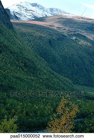 Stock Image - Mountains, close-up. Fotosearch