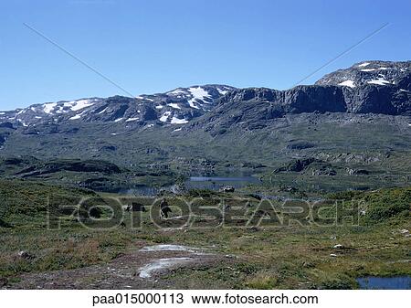 Stock Image - Norway, mountain tops. Fotosearch