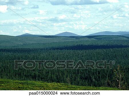 Picture - Scandinavia, landscape with mountains in distance. Fotosearch