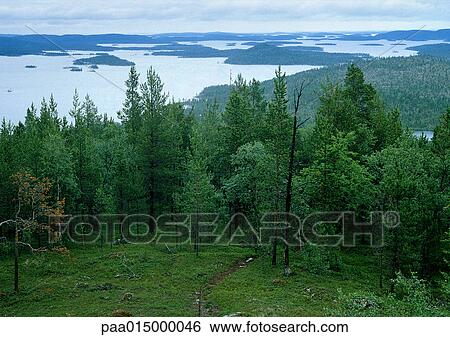 Sweden, coastal landscape View Large Photo Image Stock Photograph - Sweden, coastal landscape. Fotosearch