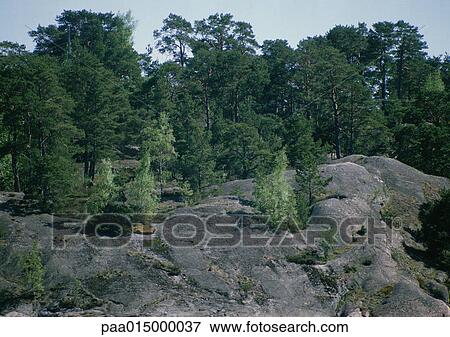 Sweden, rocky landscape and trees View Large Photo Image Stock Photo - Sweden, rocky landscape and trees. Fotosearch