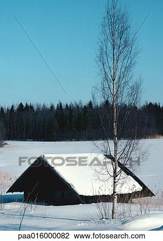 Finland, cabin half buried in snow View Large Photo Image Stock Image - Finland, cabin half buried in snow. Fotosearch