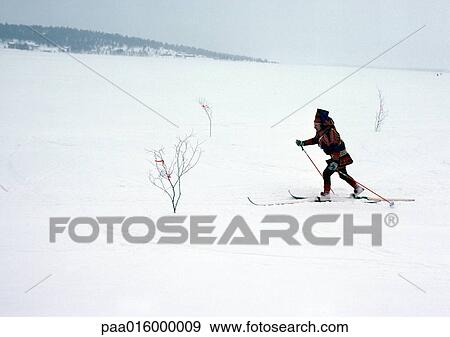 Finland, Saami cross-country skiing View Large Photo Image Stock Photo - Finland, Saami cross-country skiing. Fotosearch