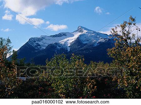 Norway, snow-capped mountain and green trees in foreground View Large Photo Image Stock Image - Norway, snow-capped mountain and green trees in foreground. Fotosearch