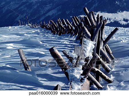Norway, wooden fence in snow View Large Photo Image Stock Photo - Norway, wooden fence in snow. Fotosearch
